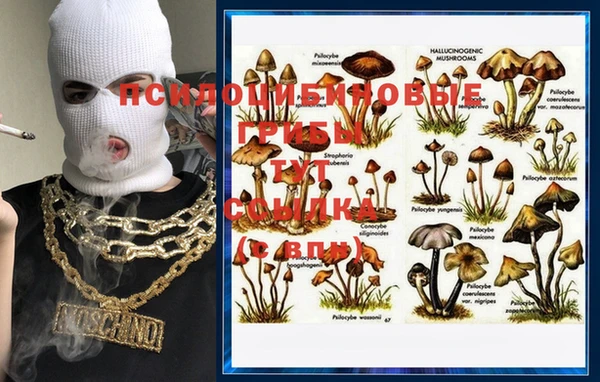 MDMA Premium VHQ Тобольск